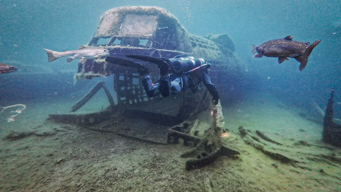Diver inspecting a sunken plane wreck with trout circling